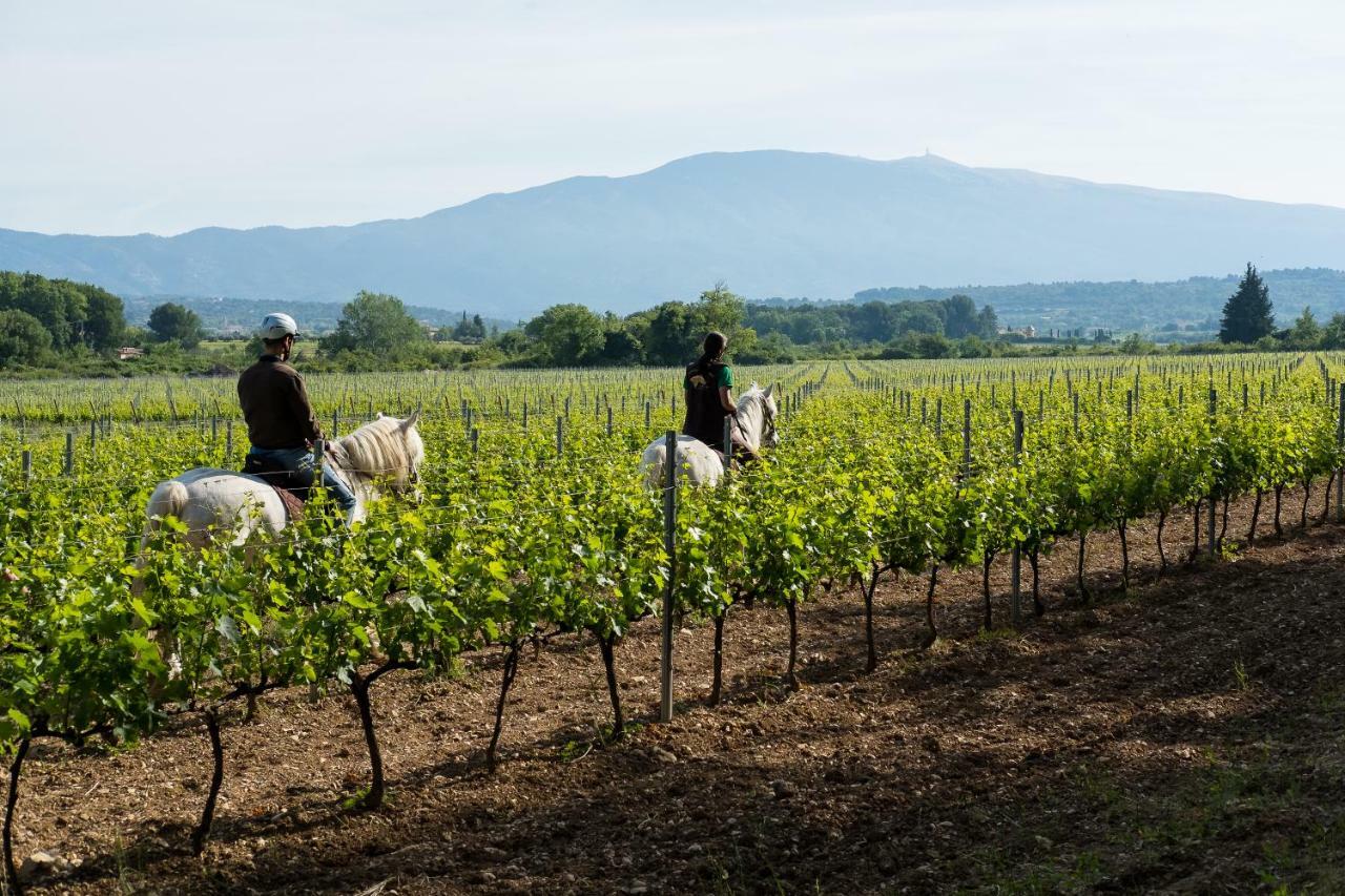 Chateau La Croix Des Pins Mazan Buitenkant foto